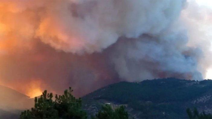 Kütahya'da ormanlık alanda yangın