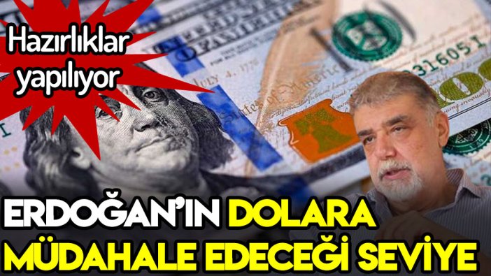 Atilla Yeşilada Erdoğan'ın dolara müdahale için beklediği kuru açıkladı: Hazırlıklar yapılıyor