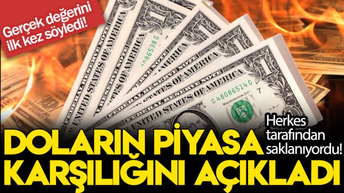 Herkes tarafından saklanıyordu! Gerçek değerini ilk kez söyledi! Doların piyasa karşılığını açıkladı