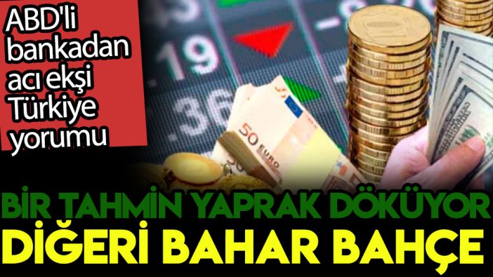 ABD'li bankadan acı ekşi Türkiye yorumu: Bir tahmin yaprak döküyor, diğeri bahar bahçe