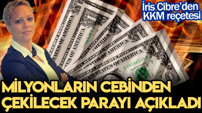 İris Cibre’den KKM reçetesi: Milyonların cebinden çekilecek parayı açıkladı