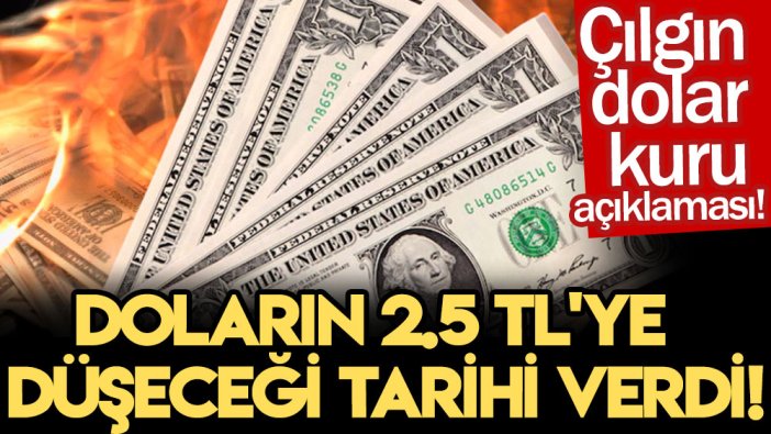 Çılgın dolar kuru açıklaması! Doların 2.5 TL’ye düşeceği tarihi verdi