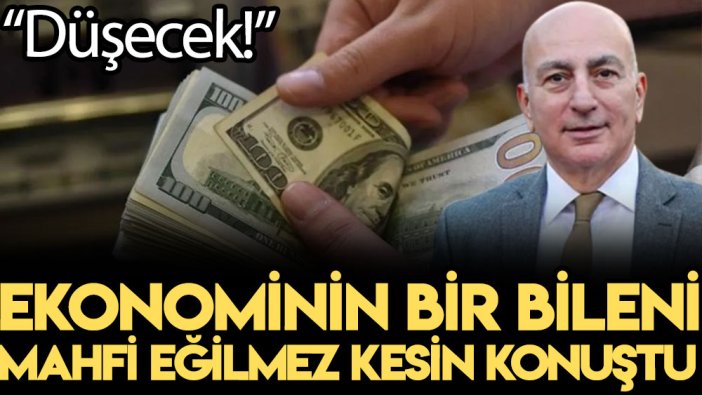 Ekonominin bir bileni Mahfi Eğilmez kesin konuştu: Düşecek!