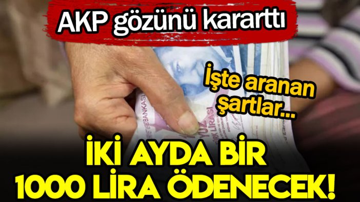 AKP gözünü kararttı: Dikkat iki ayda bir bin lira ödeme yapılacak... İşte aranan şartlar