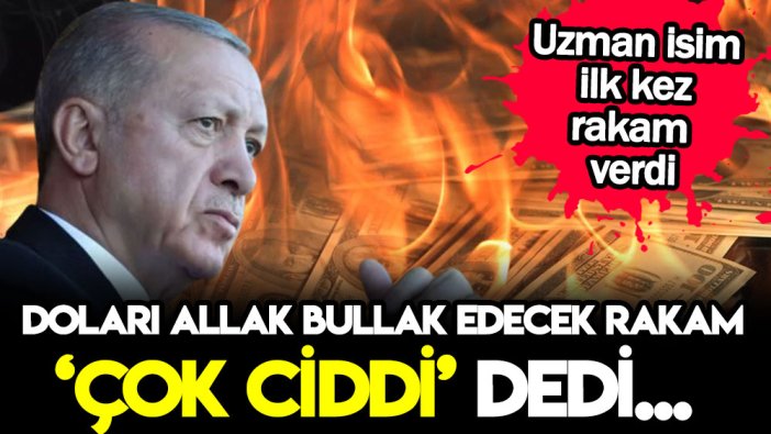 Ünlü isim dolar kurunu allak bullak edecek rakamı duyurdu: Çok ciddi diye açıkladı