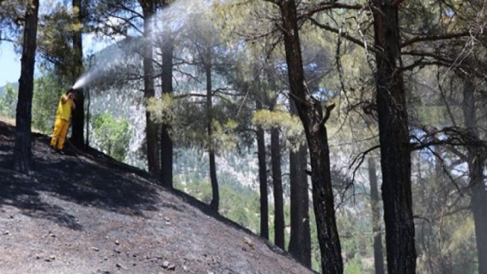 Pozantı'da orman yangını! 3 dönümlük arazi zarar gördü