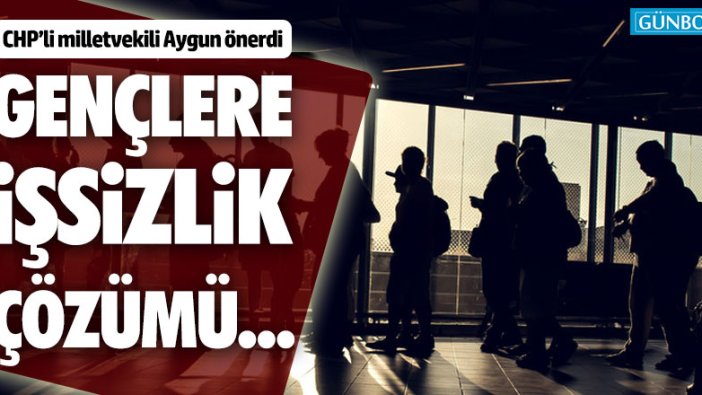 Gençlerin işsizlik çözümü için CHP'li vekil Aygun'den öneri!