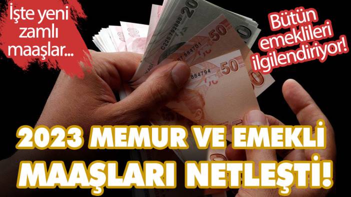 SSK, Bağ-Kur ve bütün emeklileri ilgilendiriyor! 2023 memur ve emekli maaşları netleşti! İşte yeni zamlı maaşlar...