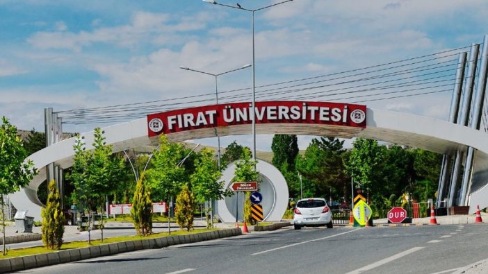 Fırat Üniversitesi Öğretim üyesi alım ilanı