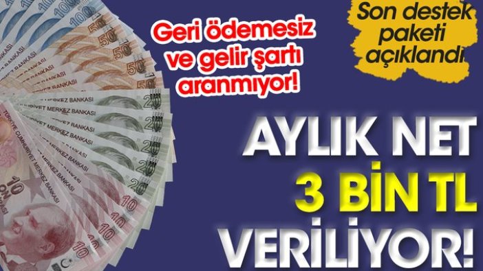 Gelir şartı aranmıyor! Son destek paketi açıklandı! Geri ödemesiz aylık net 3 bin TL veriliyor