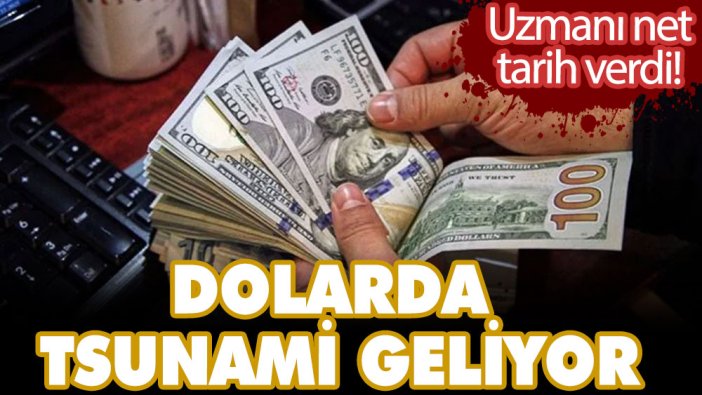 Uzmanı net tarih verdi! Dolarda tsunami geliyor