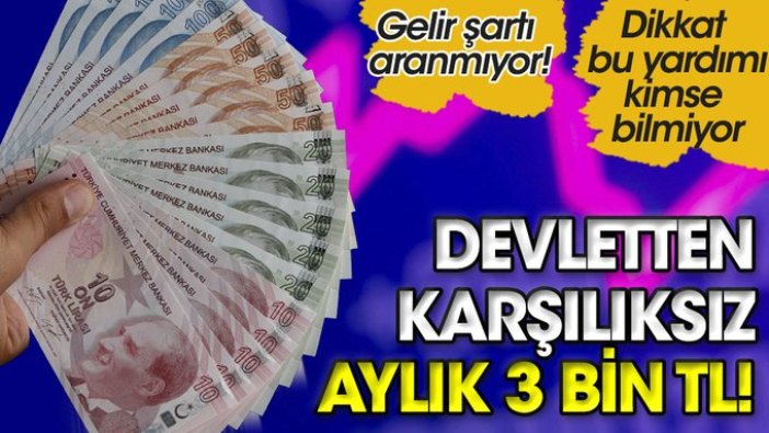 Karşılıksız aylık 3 bin TL verilecek! Gelir şartı aranmıyor! Dikkat bu yardımı kimse bilmiyor