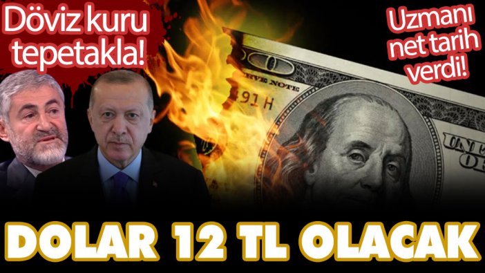 Uzmanı net tarih verdi! Döviz kuru tepetakla olacak! Dolar 12 TL'ye gerileyecek