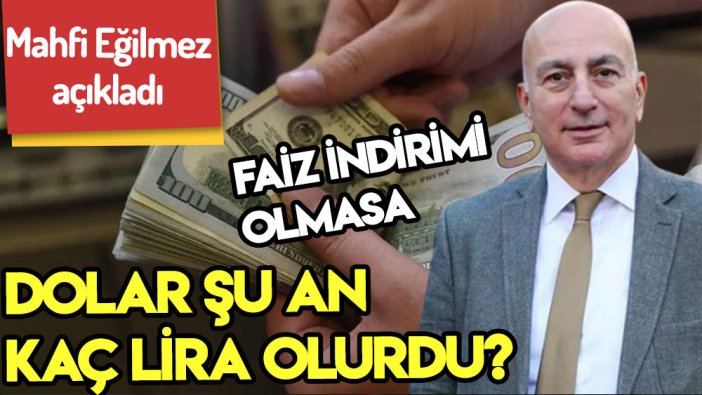 Mahfi Eğilmez açıkladı: Faiz inmese dolar kaç lira olacaktı?