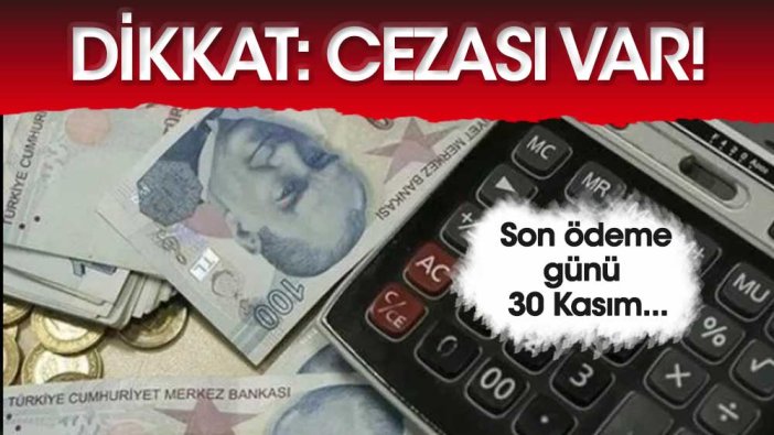 Dikkat edin cezası var: Ödemek için son tarih 30 Kasım