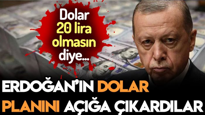 Dolar 20 lira olmasın diye bunu yapacak: Erdoğan'ın dolar planını açığa çıkardılar