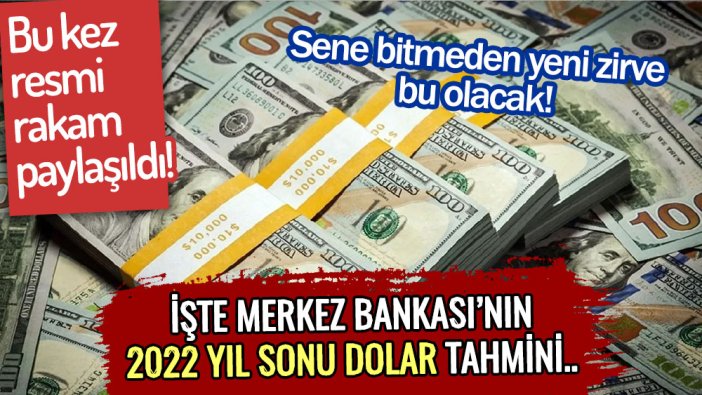 Bu rakamı Merkez Bankası açıkladı! İşte doların 2023 öncesi göreceği zirve seviye