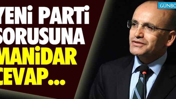 Yeni parti sorusuna manidar cevap!