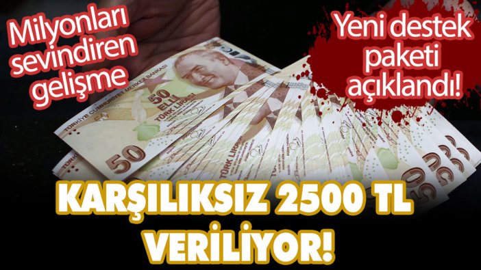 Karşılıksız 2500 TL veriliyor! Yeni destek paketi açıklandı! Milyonları sevindiren gelişme