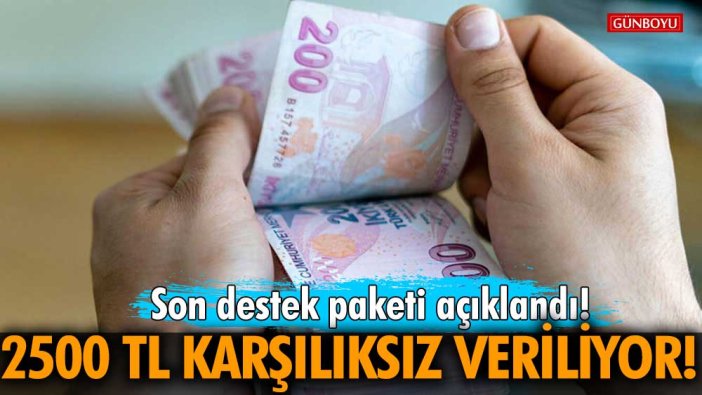 Son destek paketi açıklandı! 2500 TL karşılıksız veriliyor! İşte detaylar...