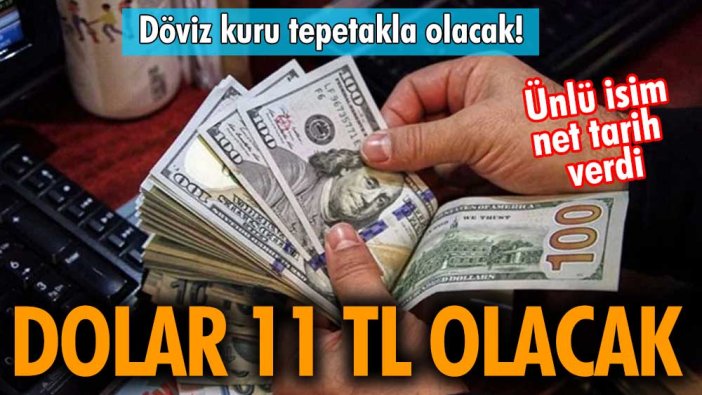 Döviz kuru tepetakla olacak! Ünlü isim net tarih verdi! Dolar 11 TL olacak