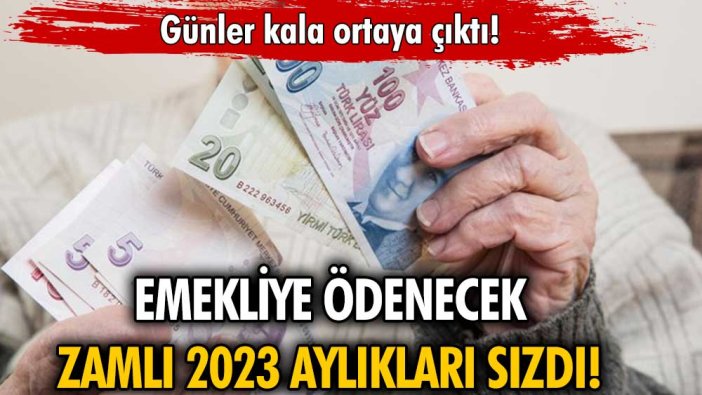 2023'de alınacak emekli maaşı ortaya çıktı... İşte gelecek zam ve alınacak yeni aylıklar