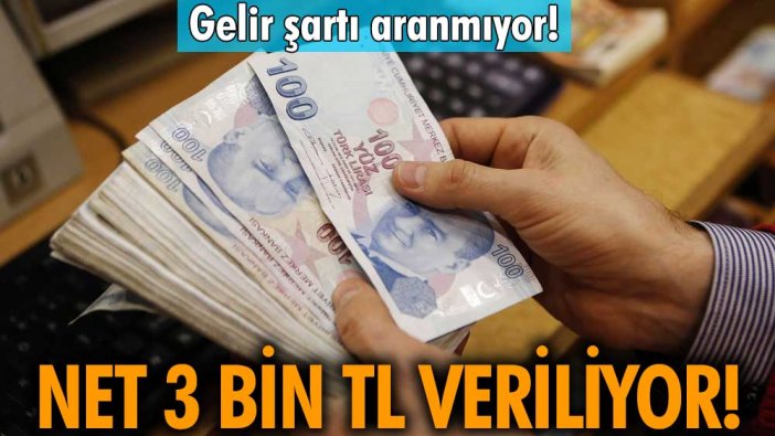 Dikkat net 3 bin TL veriliyor! Gelir şartı aranmıyor! Yeni destek paketi açıklandı