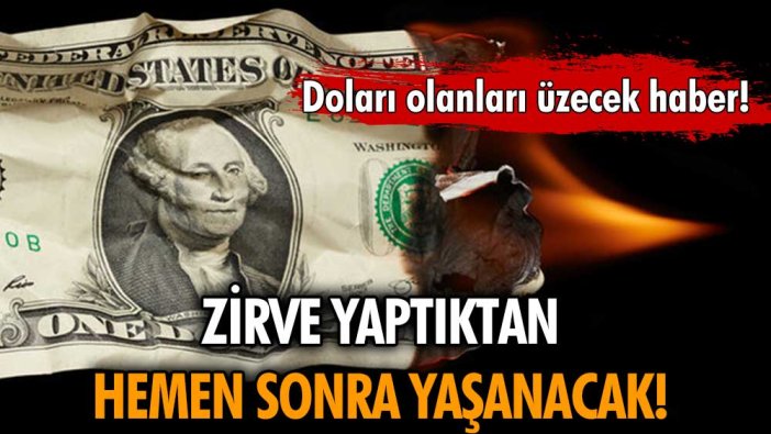 Dolar sahiplerini çok üzecek: Zirve yaptıktan hemen sonra...