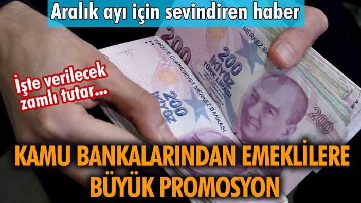 Aralık müjdesi açıklandı! 3 kamu bankasından emeklilere rekor promosyon! İşte verilecek zamlı tutar...