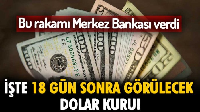 Bu rakamı Merkez Bankası açıkladı: İşte 18 gün sonra görülecek dolar kuru!