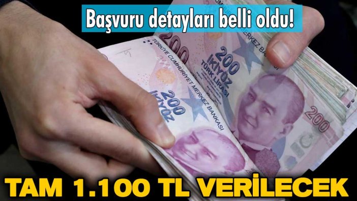 Müjde az önce verildi! Başvuru detayları belli oldu! Tam 1.100 TL verilecek