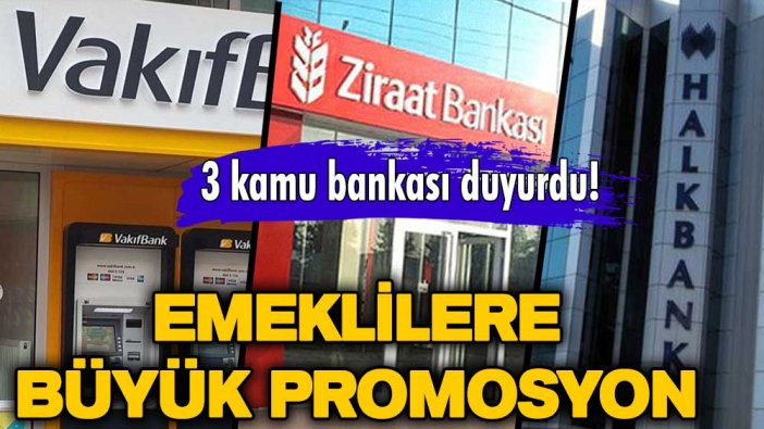 Aralık müjdesi açıklandı! 3 kamu bankasından emeklilere rekor promosyon! İşte verilecek tutar...