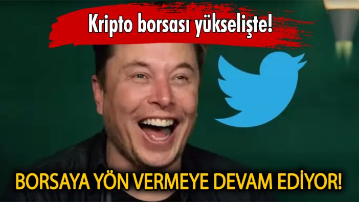 Twitter'dan takip etti Kripto borsası oynadı!