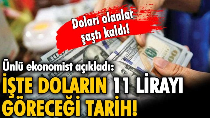 Dolarda deprem! Ünlü isim doların 11 liraya düşeceği tarihi açıkladı