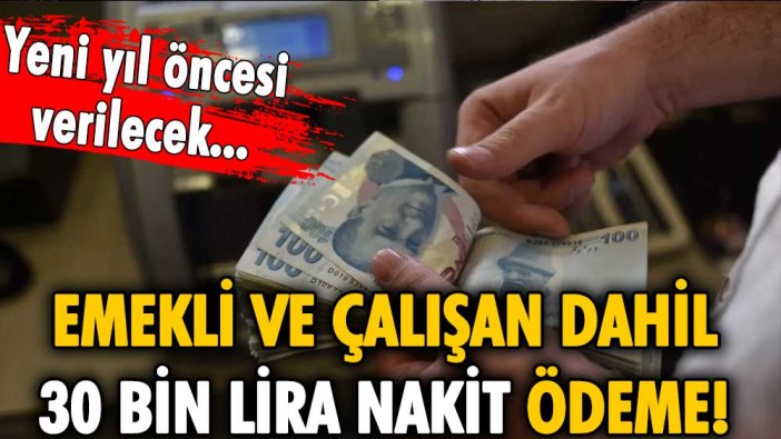 Emekli veya çalışan fark etmiyor! Başvurana yeni yıl öncesi 30 bin lira nakit ödeme yapılacak