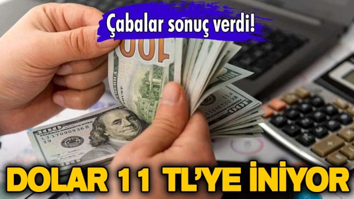 Borsada büyük döviz operasyonu! Dolar 11 liraya iniyor