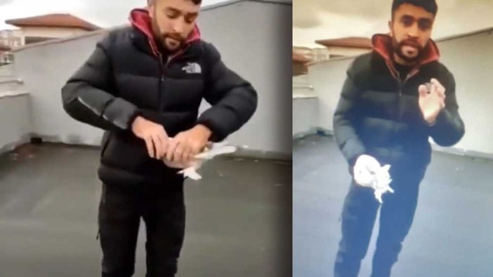 Güvercini başını koparıp öldüren caniye ödül gibi ceza!