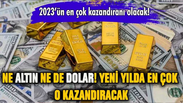 Ne altın ne dolar yeni yılda en çok o kazandıracak!