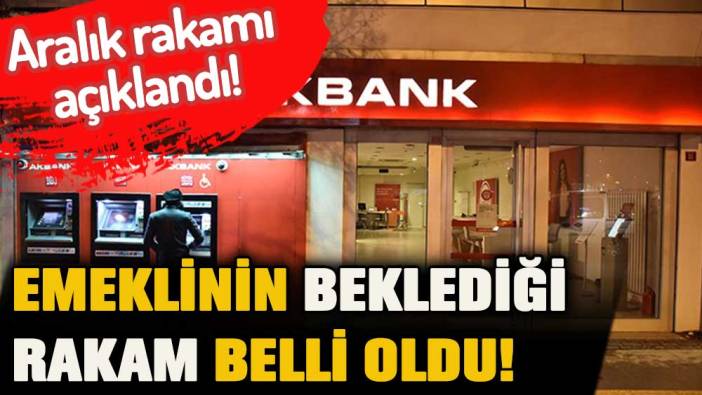 Akbank'tan emekliye aralık promosyonu: İşte merak edilen rakam!