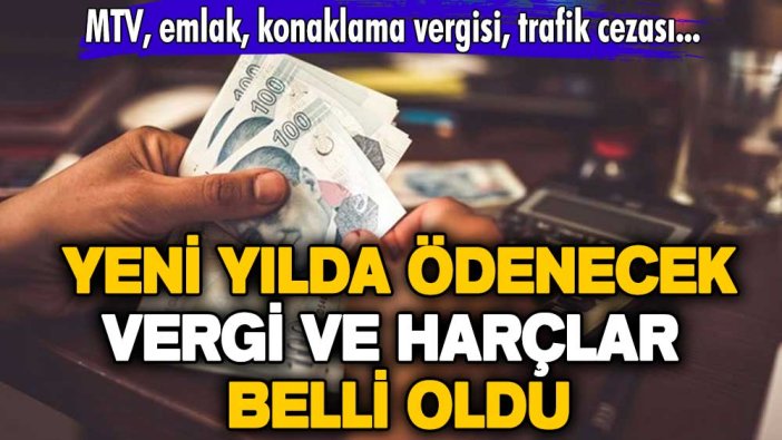 MTV, emlak, konaklama vergisi, trafik cezası, harç, pasaport ücretleri... Yeni yılda ödenecek vergi ve harçlar belli oldu