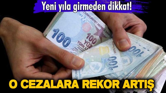 Yeni yıla girmeden dikkat! O cezalara rekor artış
