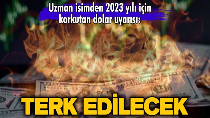 Uzman isimden 2023 yılı için korkutan dolar uyarısı: Terk edilecek