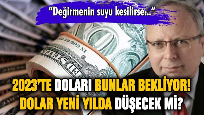 Ünlü ekonomistten kritik dolar yorumu: Yeni yılda dolar düşecek mi?