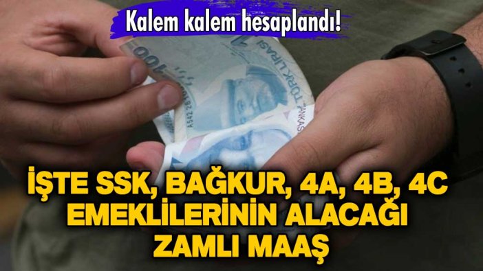 Kalem kalem hesaplandı! İşte SSK, Bağ-Kur, 4A, 4B, 4C emeklilerinin alacağı zamlı maaş