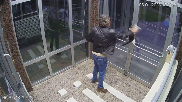 Kediyi dakikalarca tekmelemişti: Yürek sızlatan olayda yeni gelişme!