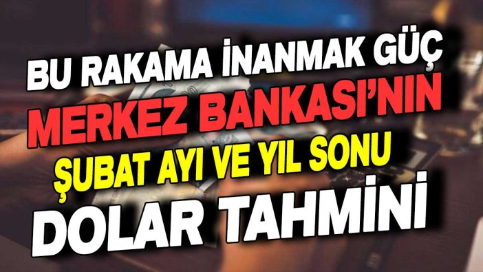 Bu rakama inanmak güç! İşte Merkez Bankası'nın şubat sonu ve yıl sonu için dolar tahmini