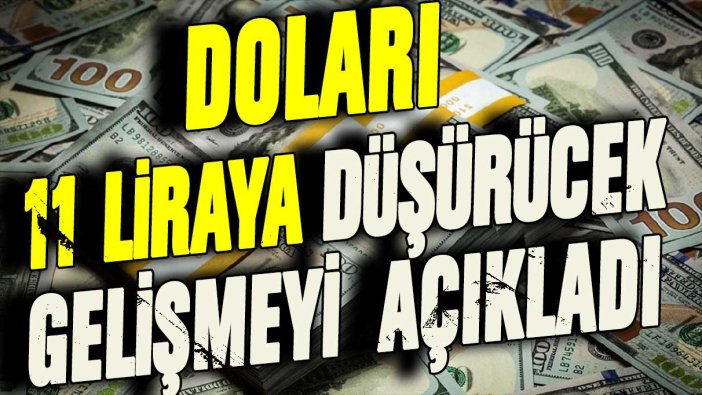 Ünlü ekonomist doları 11 liraya düşürecek gelişmeyi açıkladı!