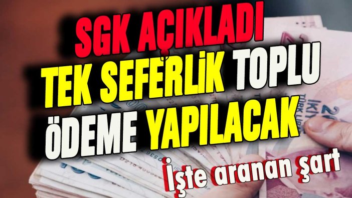 SGK açıkladı: Bu şartı taşıyanlara tek sefere mahsus toplu ödeme yapılacak