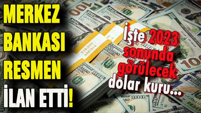 Merkez bankası resmen açıkladı: İşte 2023 sonunda görülecek dolar kuru