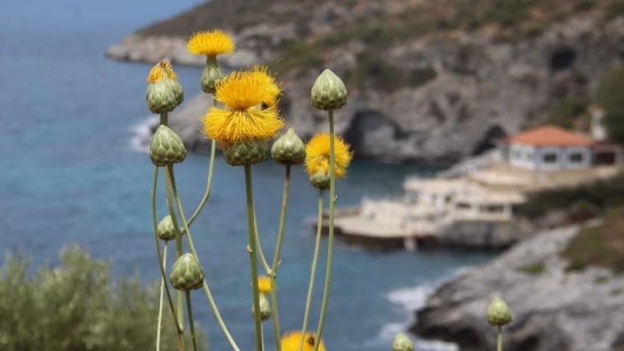 ‘Doğal Botanik Park'a koruma çemberi!